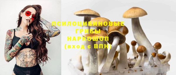 прущая мука Заволжск