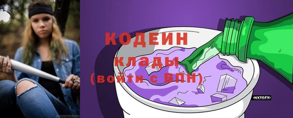 молекула духа Заводоуковск