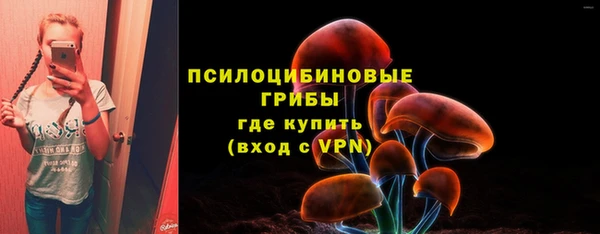 Альфа ПВП Пестово