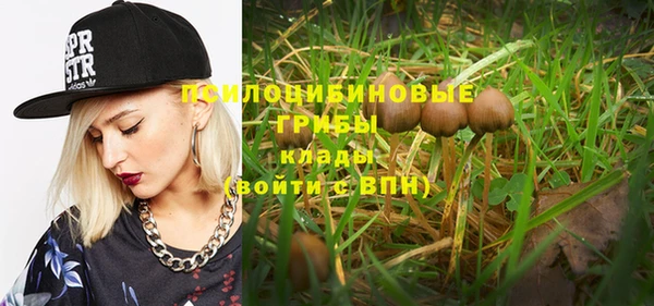 амф Заволжье