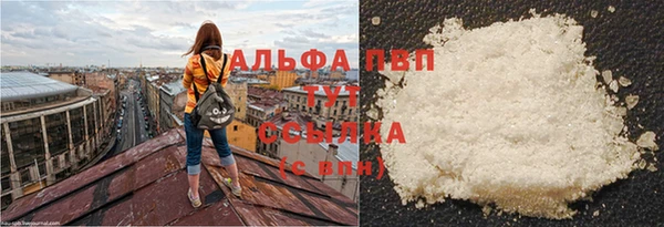 молекула духа Заводоуковск