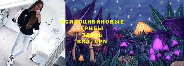 амф Заволжье