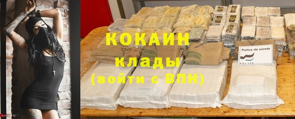 молекула духа Заводоуковск