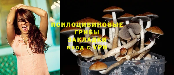 ПСИЛОЦИБИНОВЫЕ ГРИБЫ Покровск