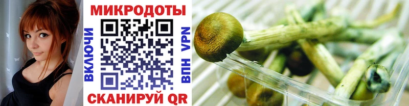 Галлюциногенные грибы Cubensis  Петухово 